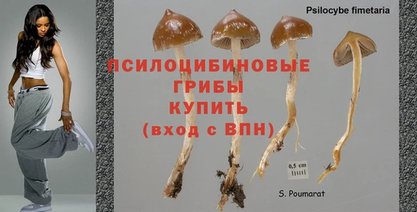 стаф Баксан