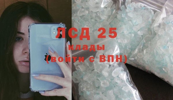 стаф Баксан