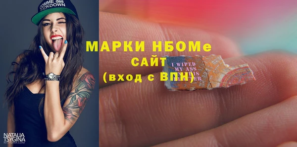 стаф Баксан
