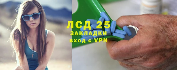 прущие грибы Балахна