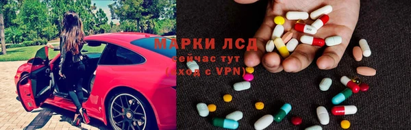 прущие грибы Балахна