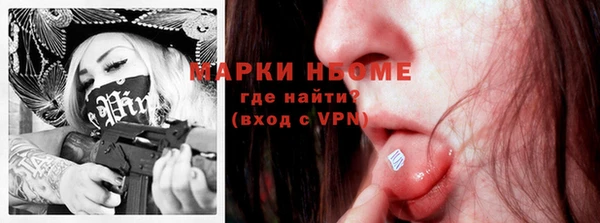 прущие грибы Балахна