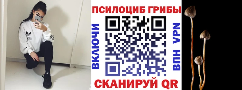 Галлюциногенные грибы GOLDEN TEACHER  KRAKEN онион  Биробиджан 